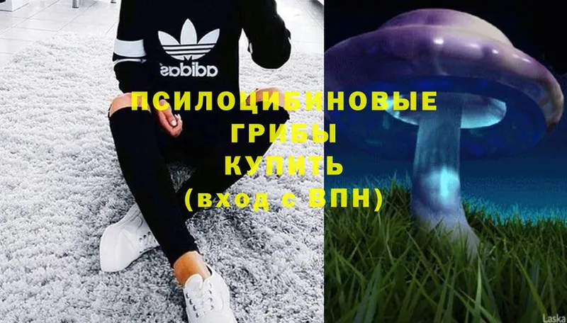 Псилоцибиновые грибы Magic Shrooms  Звенигород 